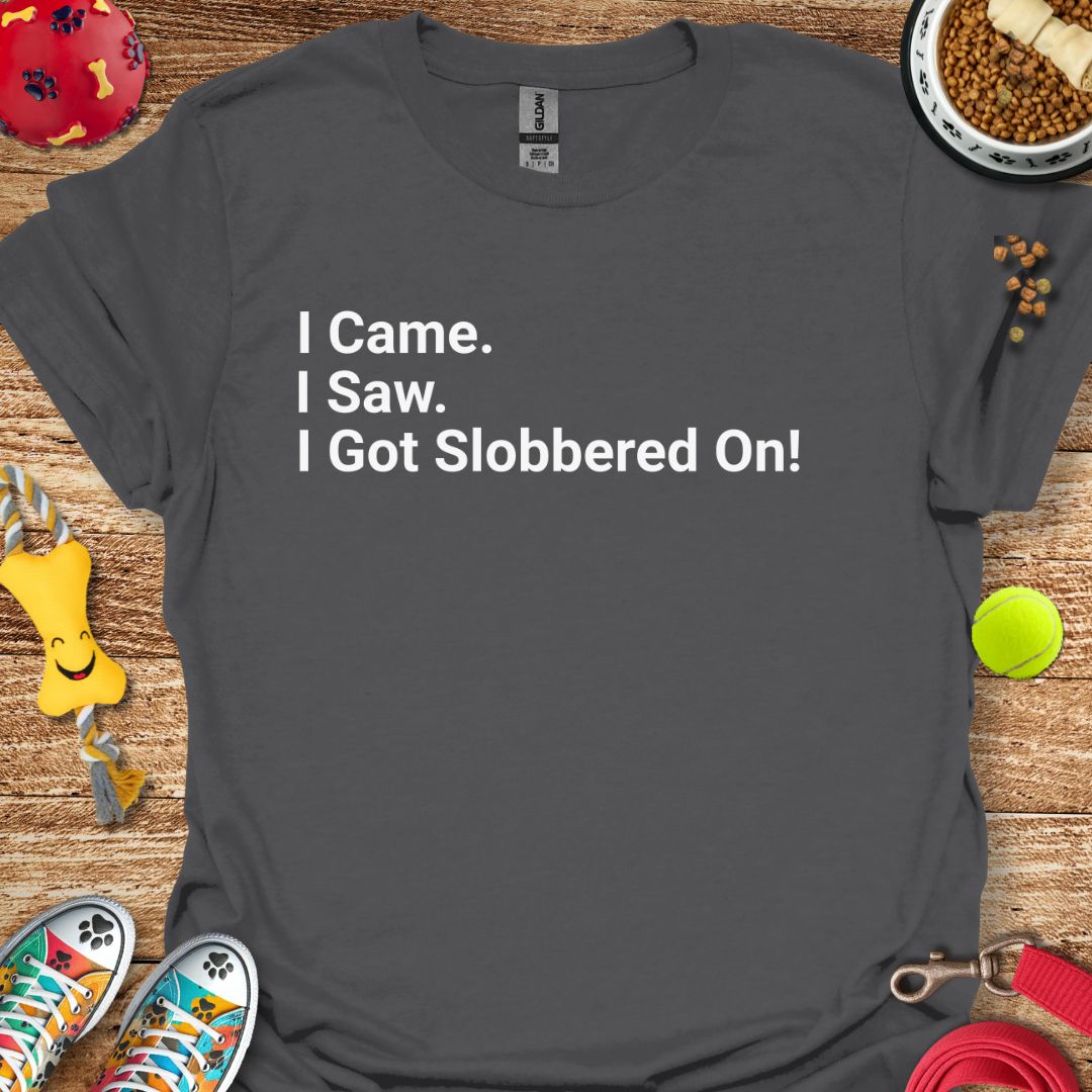 I Came I Saw T-Shirt
