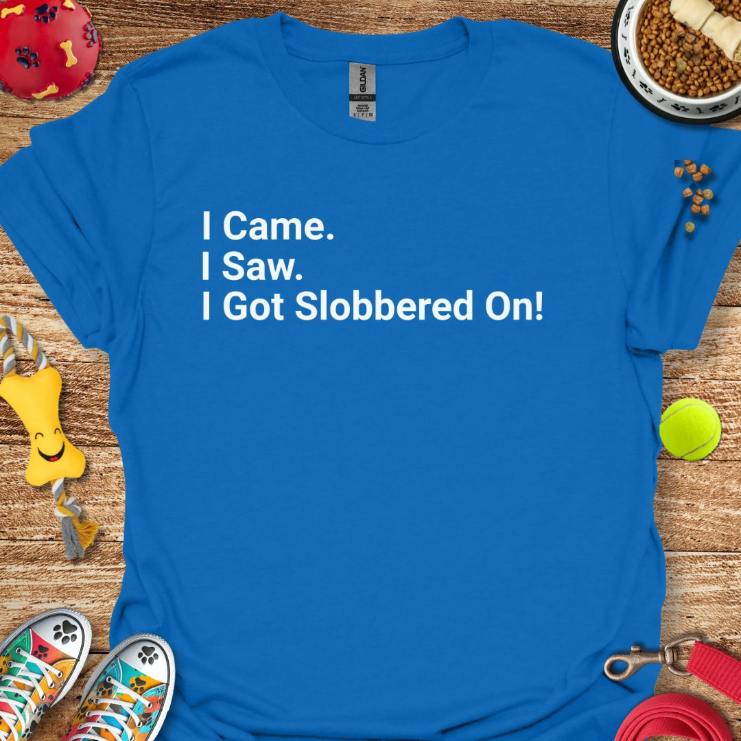I Came I Saw T-Shirt