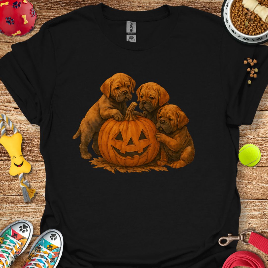 Pumpkin DDB T-Shirt