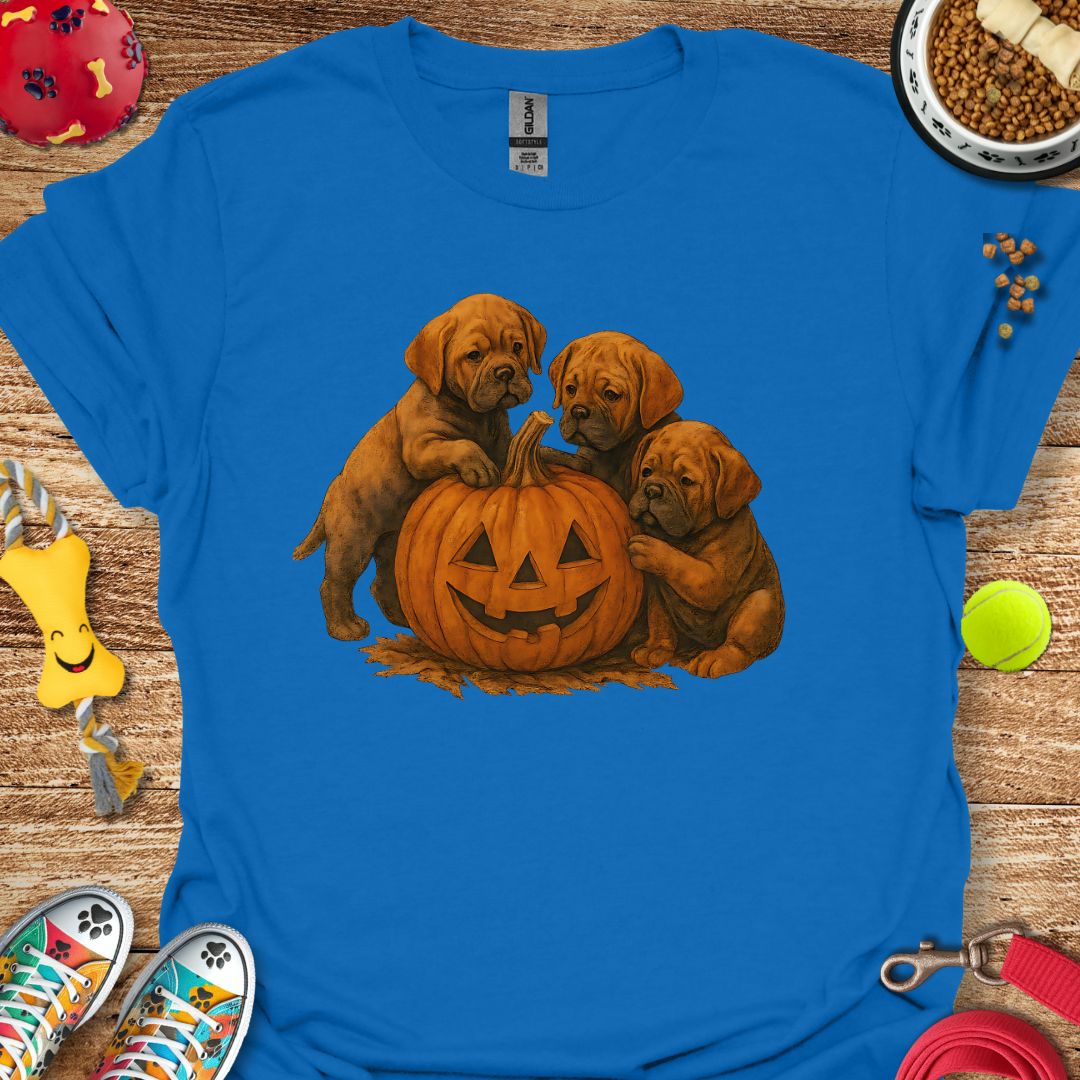 Pumpkin DDB T-Shirt